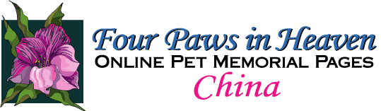 Four Paws in Heaven China Memorials