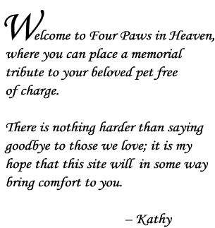 Four Paws in Heaven Introduction