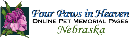 Four Paws in Heaven Nebraska Memorials