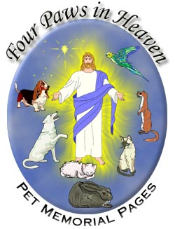 Four Paws in Heaven Logo