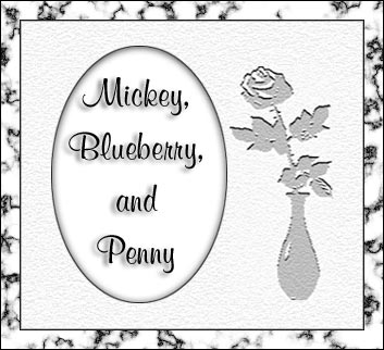 Memorial for Mickey, Blueberry, and Penny